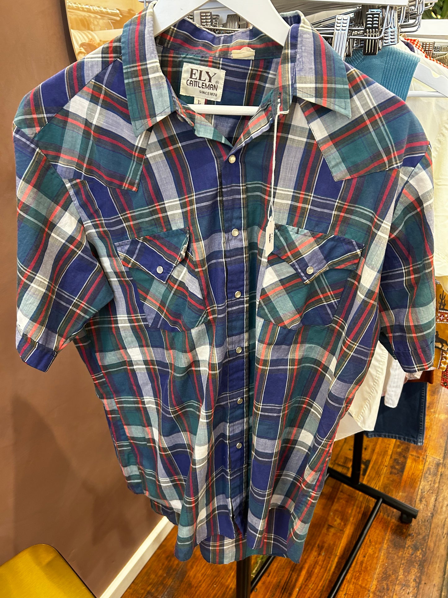 Ely cattleman blue plaid Pearl snap