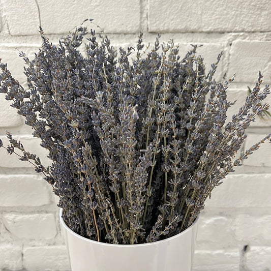 Lavender - 20 stems