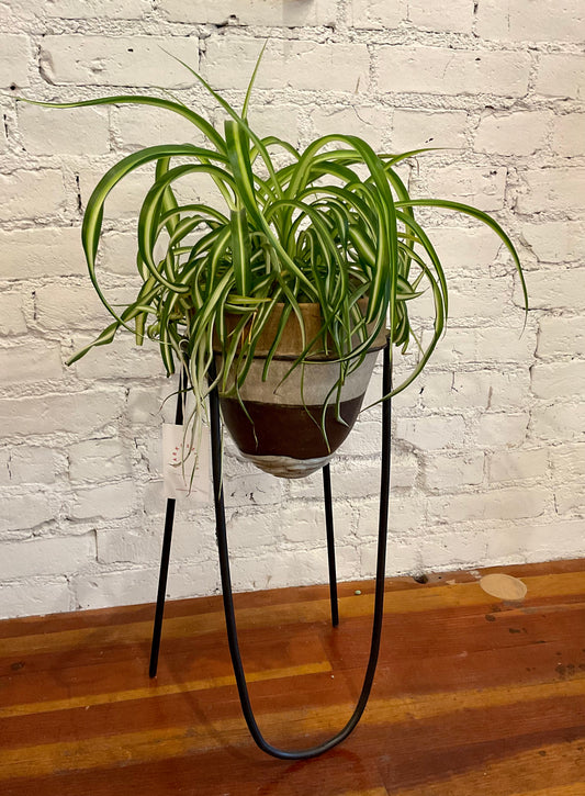 Forward plant stand